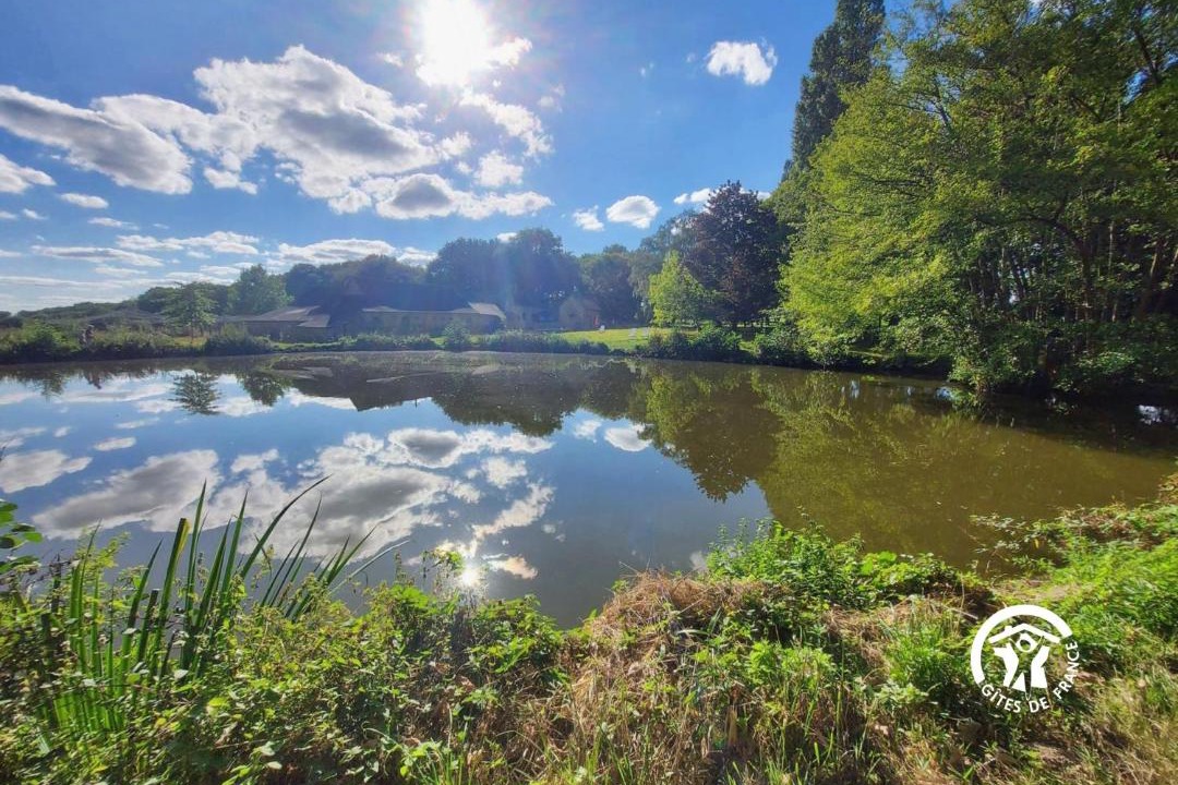 Photo of Others in Meral