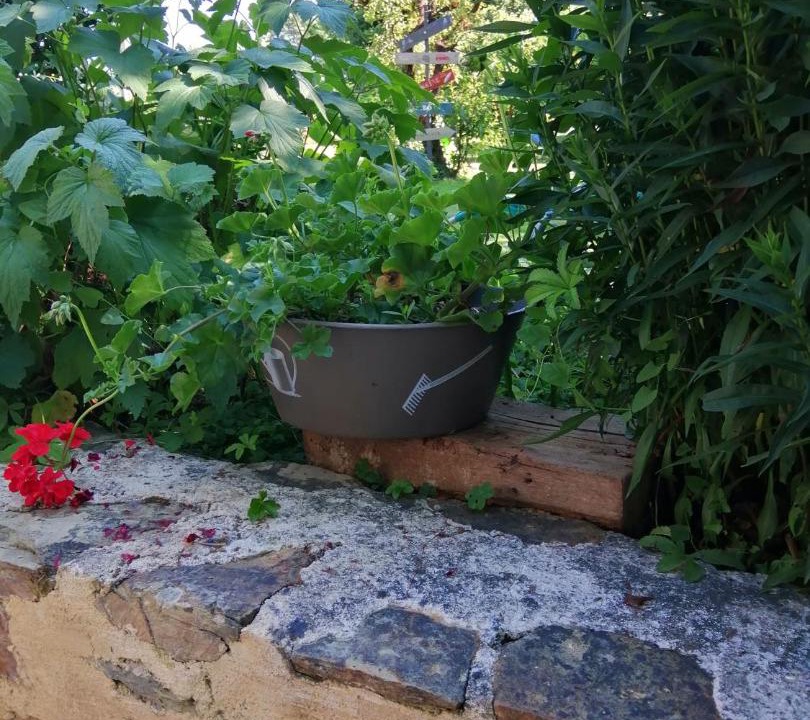 Photo of Others in Marigne-Peuton