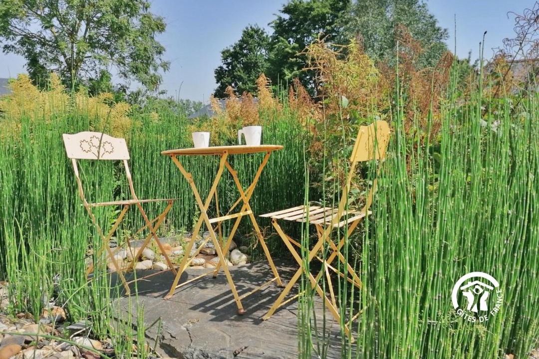 Photo of Others in Niafles