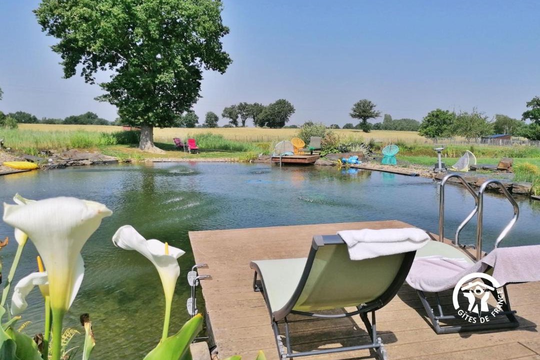 Photo of Others in Niafles