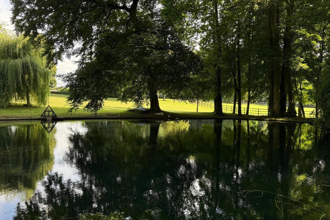 Photo of Others in Pierrefitte-en-Auge