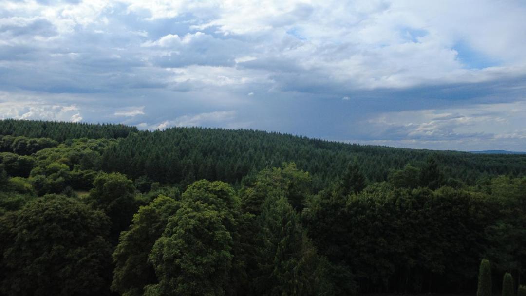 Photo of Others in Magny