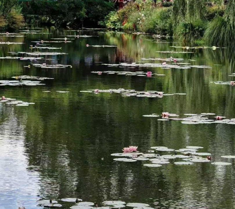 Photo of Others in Giverny