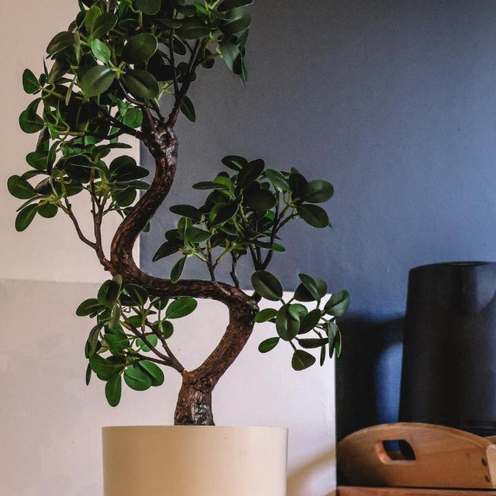 Photo of Others in Saint-Rambert