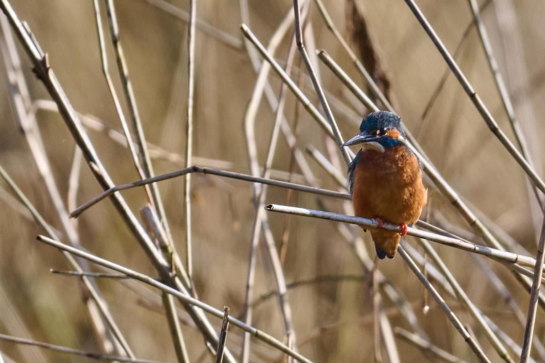 Photo of Others in Dursley