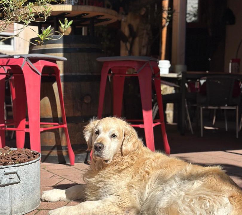 Photo of Others in La Petite-Pierre