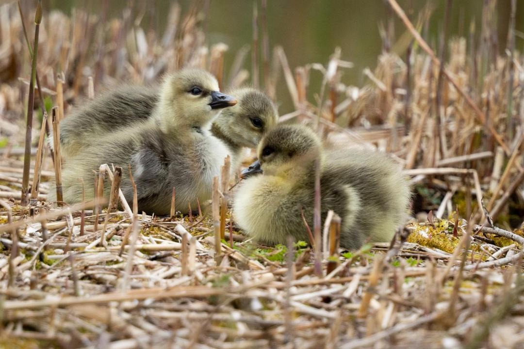 Photo of Others in Dursley