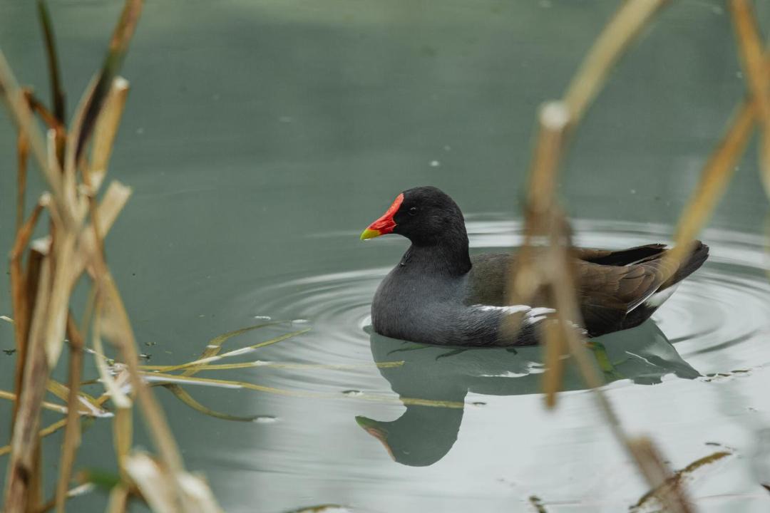 Photo of Others in Dursley