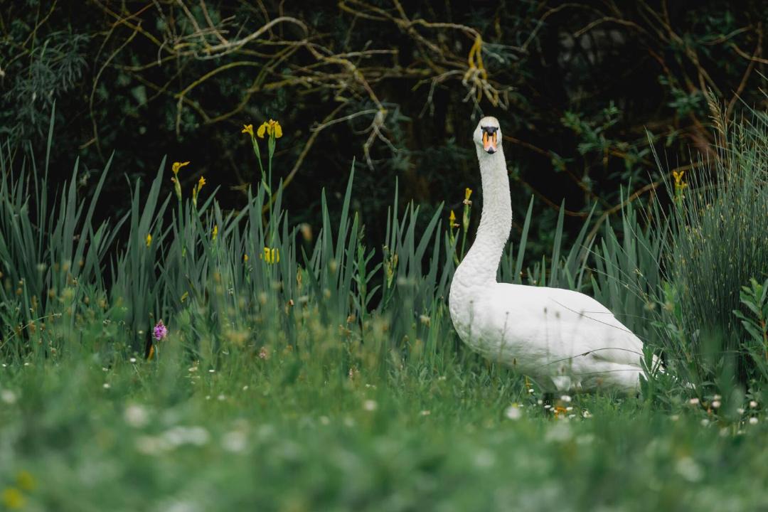 Photo of Others in Dursley