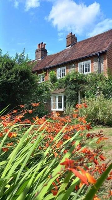 Photo of Others in Rowlands Castle