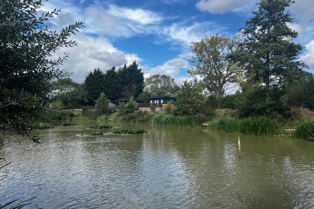 Photo of Others in Gumley