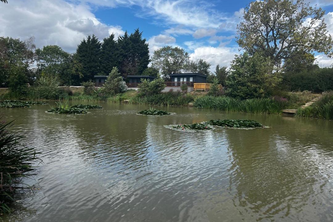 Photo of Others in Gumley