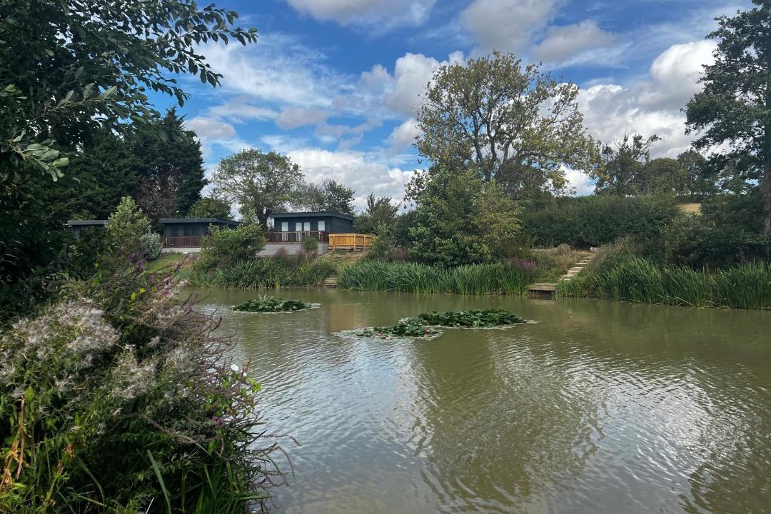 Photo of Others in Gumley