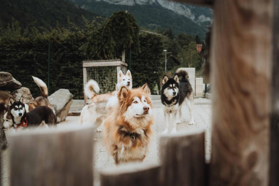 Photo of Others in Le Biot