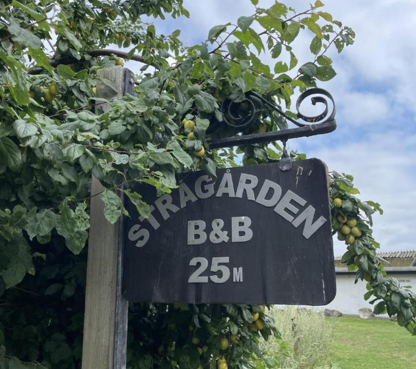 Photo of Others in Nyord