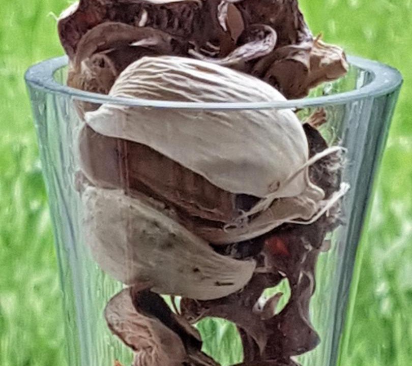 Photo of Others in Murthill