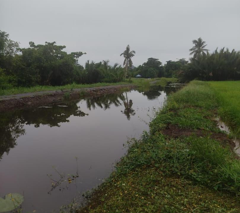 Photo of Others in Kampung Pondok