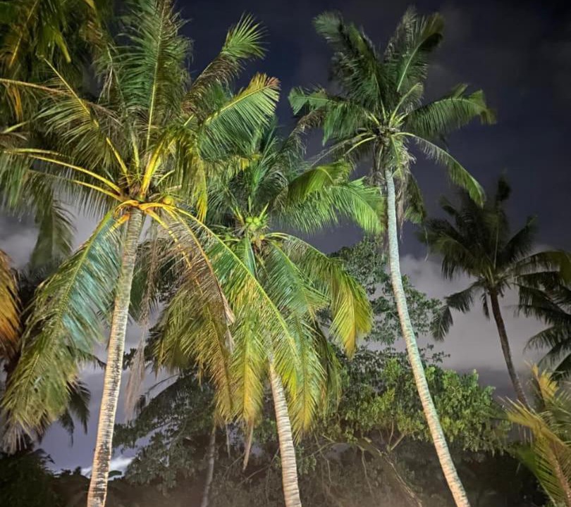 Photo of Others in Kampung Pondok