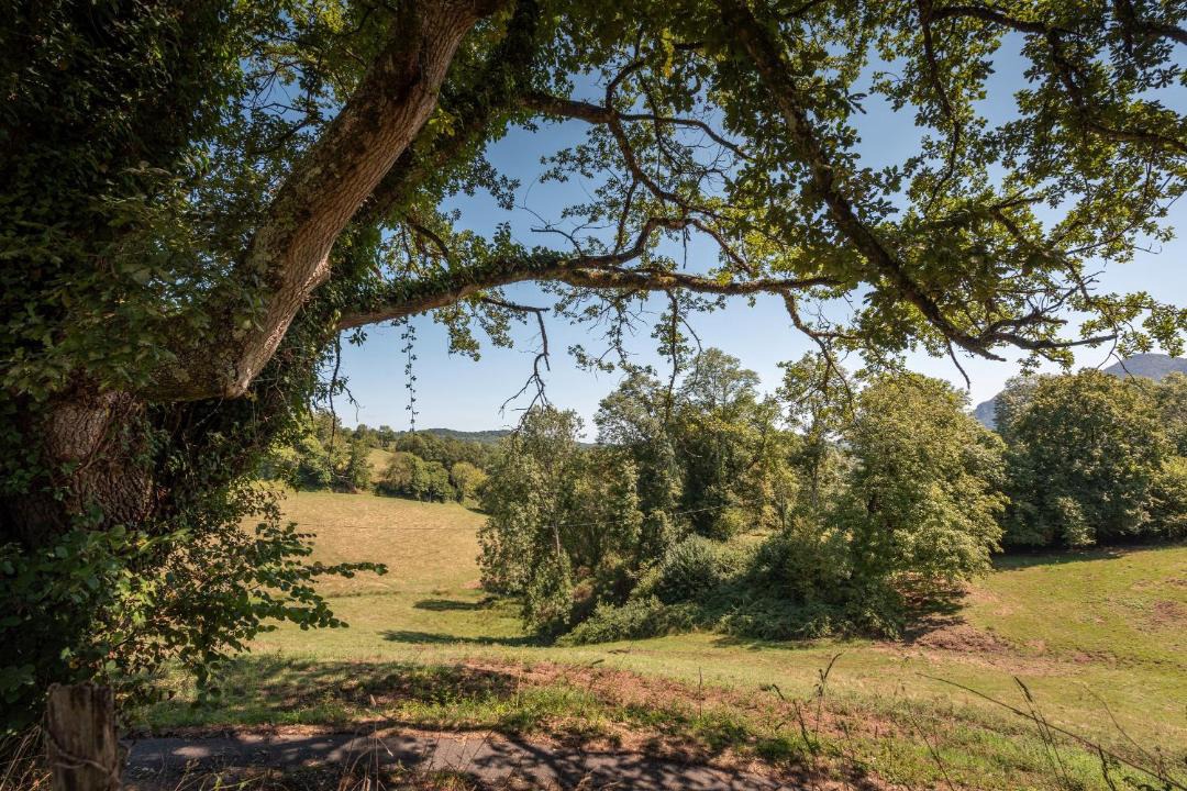 Photo of Others in Peyrouse