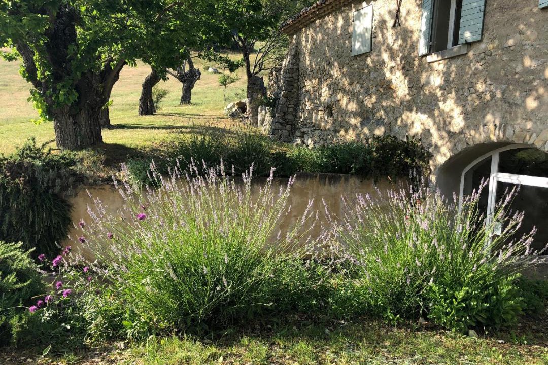 Photo of Others in Sisteron