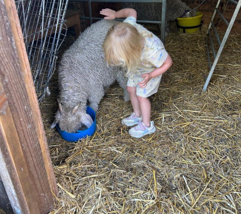 Photo of Others in Llandovery