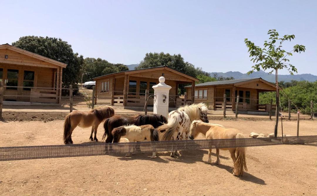 Photo of Others in Occhiatana