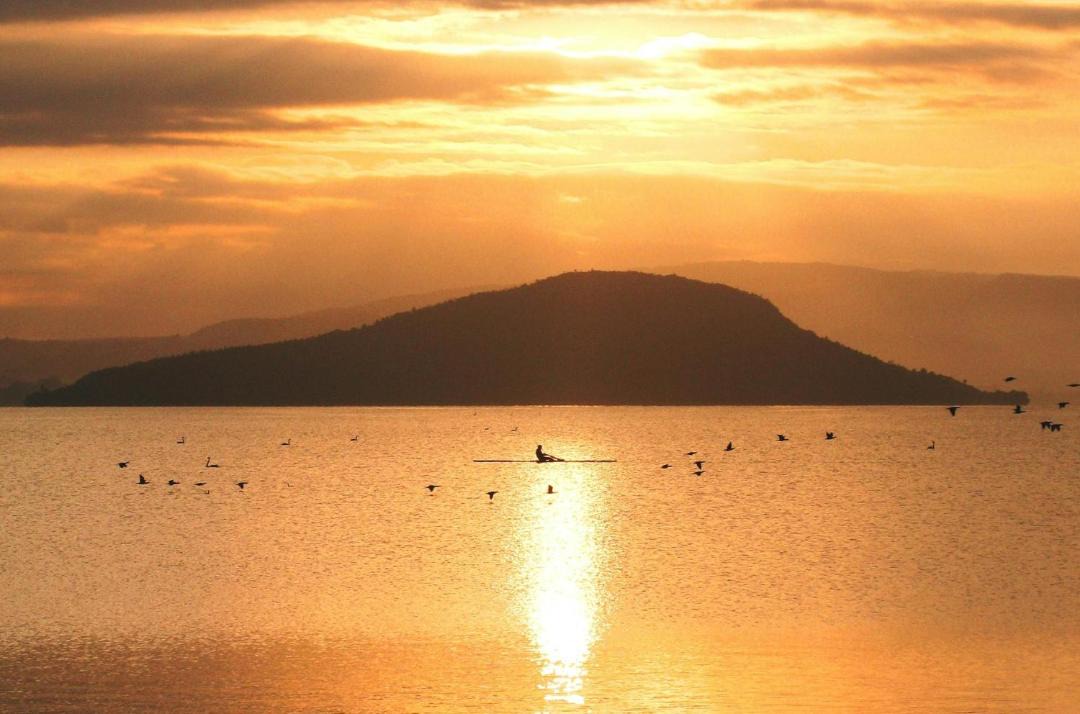 Photo of Others in Rotorua