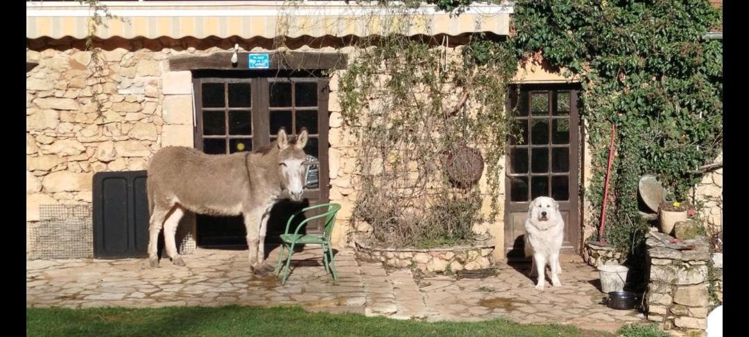 Photo of Others in Milhac