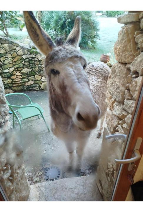 Photo of Others in Milhac