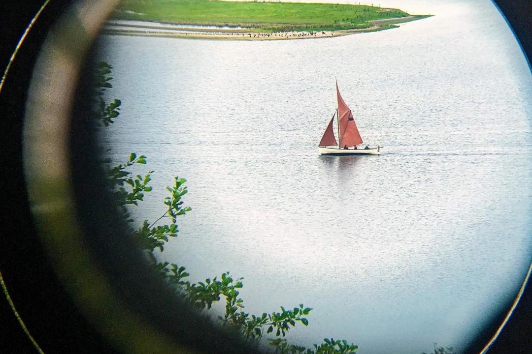 Photo of Human In Picture in Hjarbæk