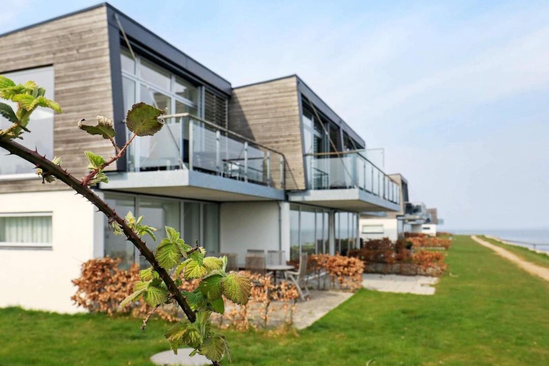 Photo of Others in Stege