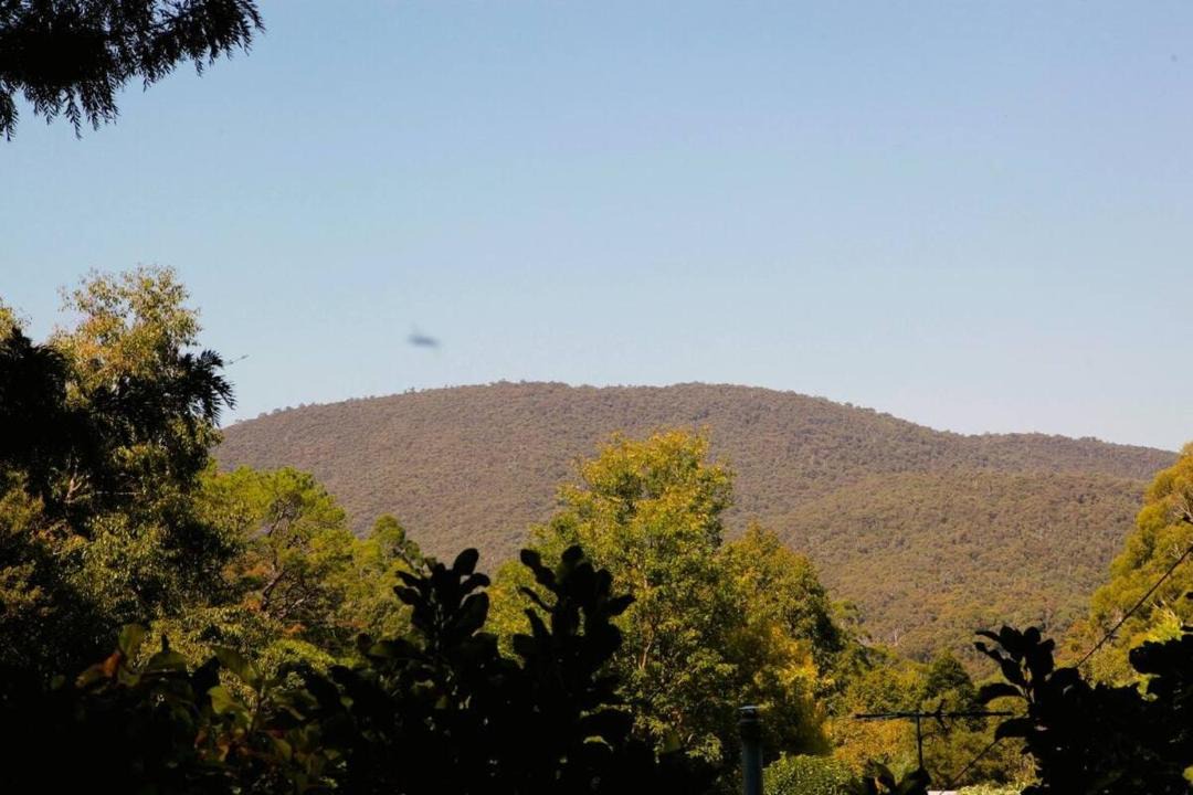 Photo of Others in Millgrove