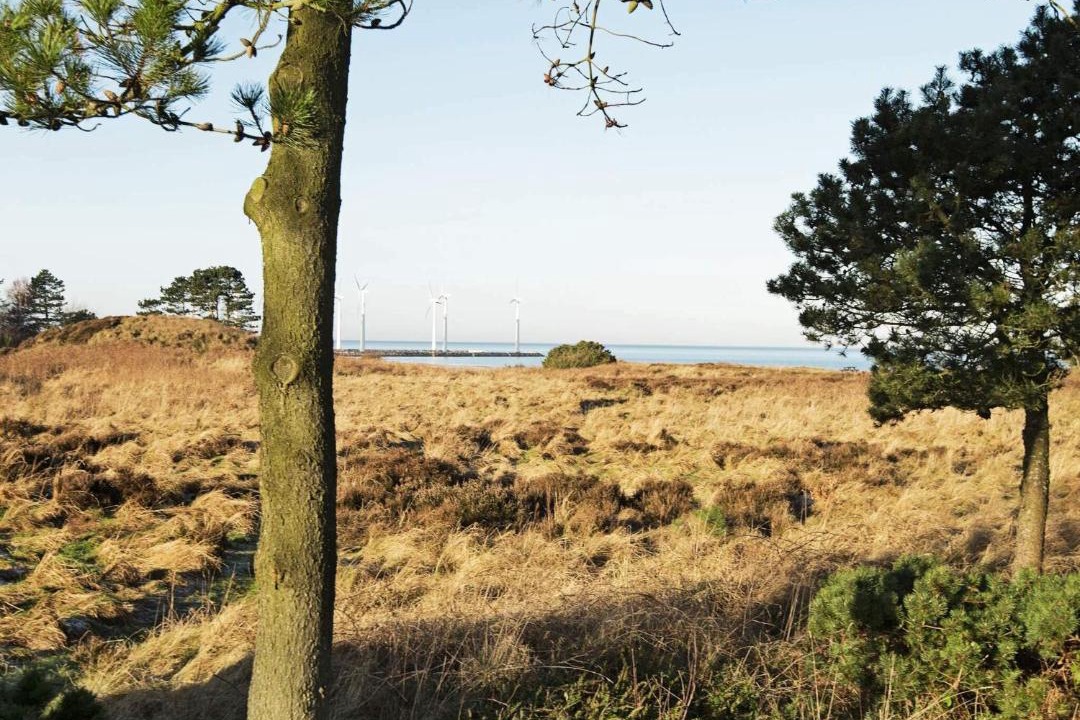 Photo of Others in Bønnerup Strand