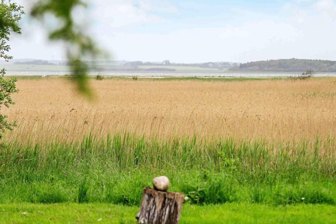Photo of Others in Thyholm