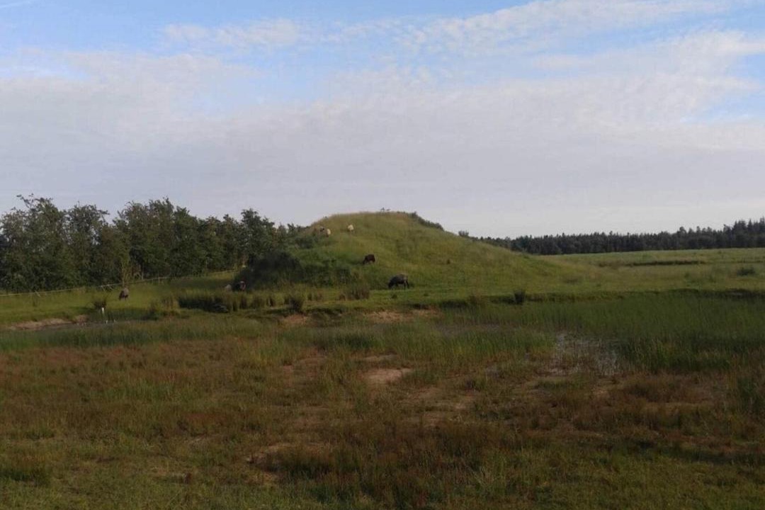 Photo of Others in Ansager