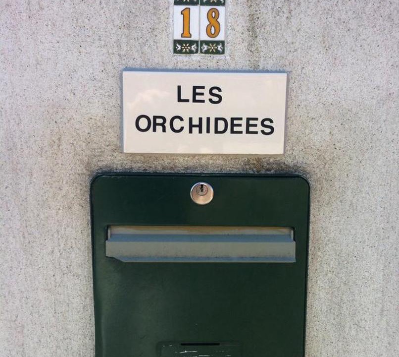 Photo of Others in Carcassonne