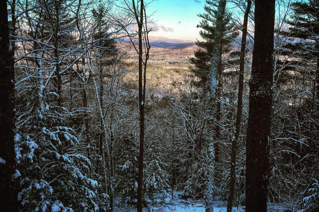 Photo of Others in Campton