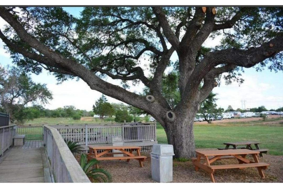 Photo of Others in Cuero