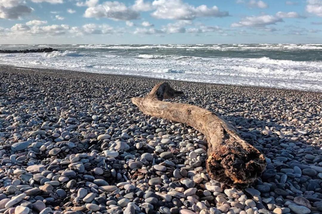 Photo of Human In Picture in Skagen