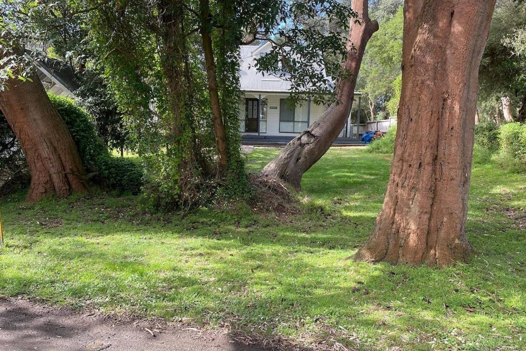 Photo of Others in Silverleaves