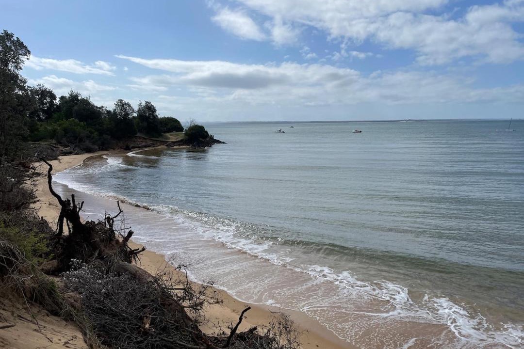 Photo of Others in Silverleaves