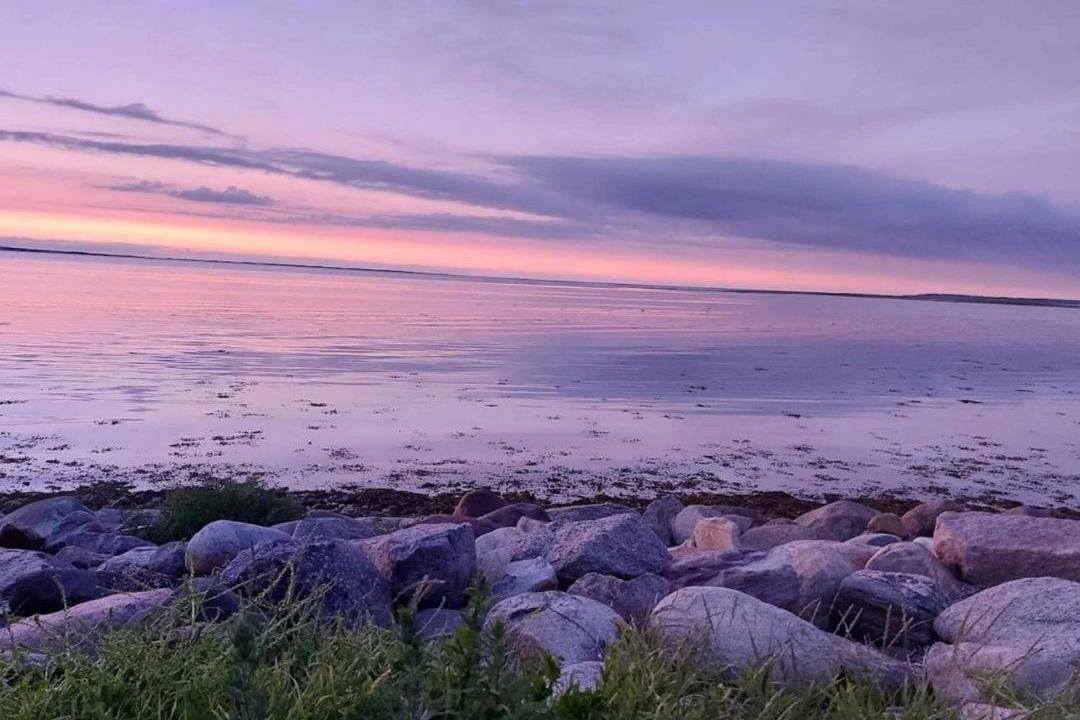 Photo of Others in Bogense