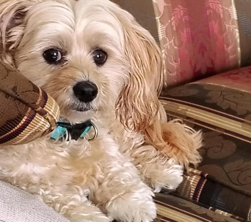 Photo of Others in Digby