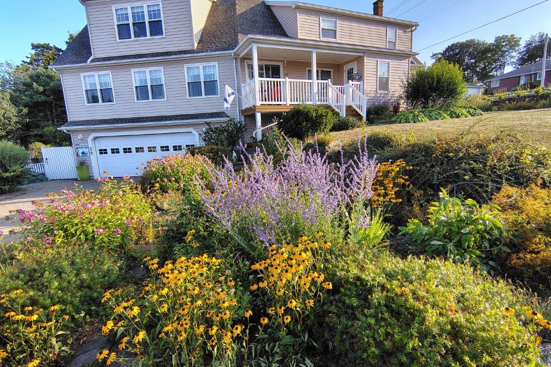 Photo of Others in Digby