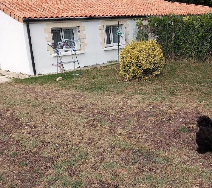 Photo of Others in Arvert