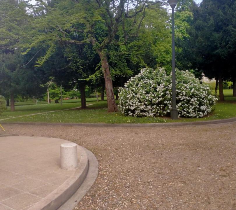 Photo of Others in Meudon