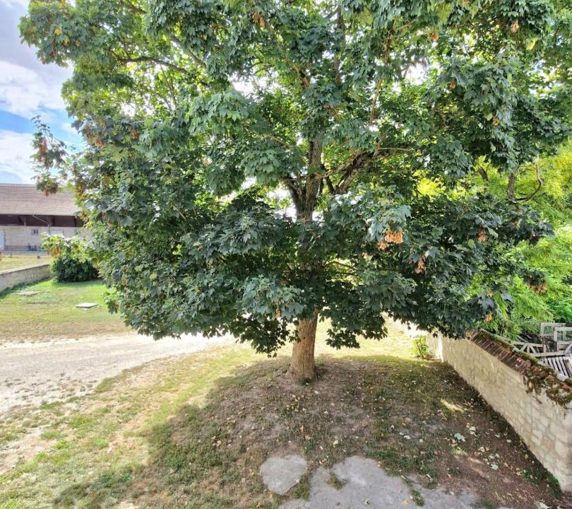 Photo of Outdoor in Guny