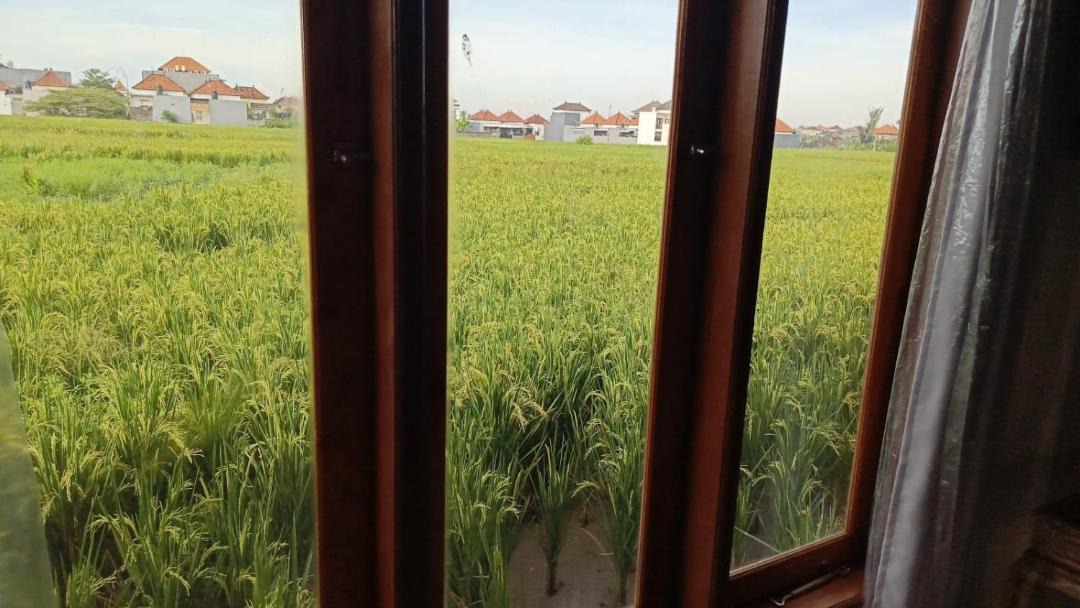 Photo of Others in Sukawati