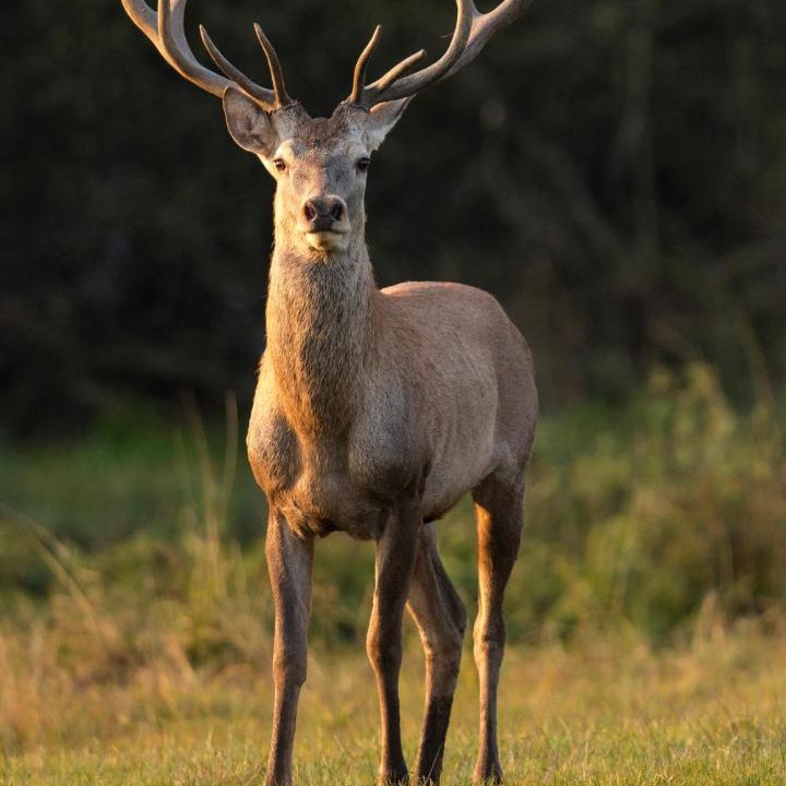 Photo of Others in Arthon