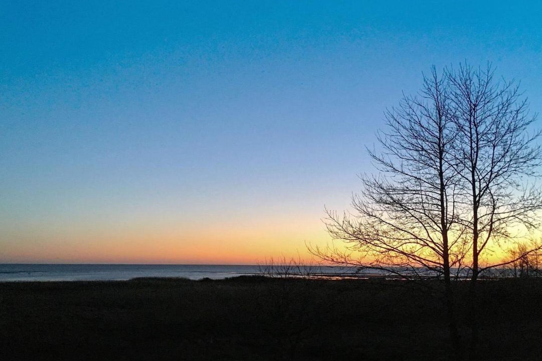 Photo of Others in Hadsund